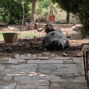 IMG_20190707_143848.jpg